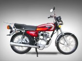 2010 Kinroad XT125 photo